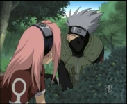 sakura kakashi